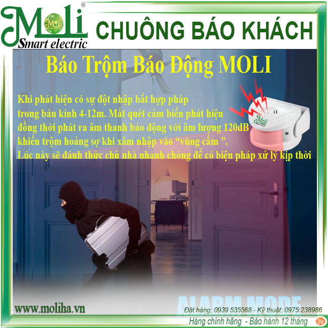 bao-khach-co-remote-moli(1).png