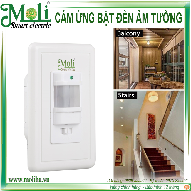 cam-ung-bat-den-am-tuong-moli.png