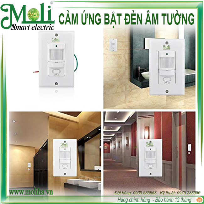 cam-ung-bat-den-moli.png