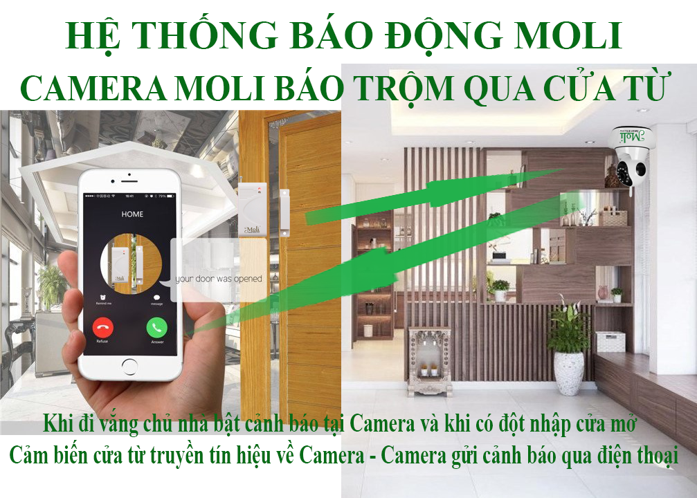 camera-bao-dong-gan-cua-moli(1).png