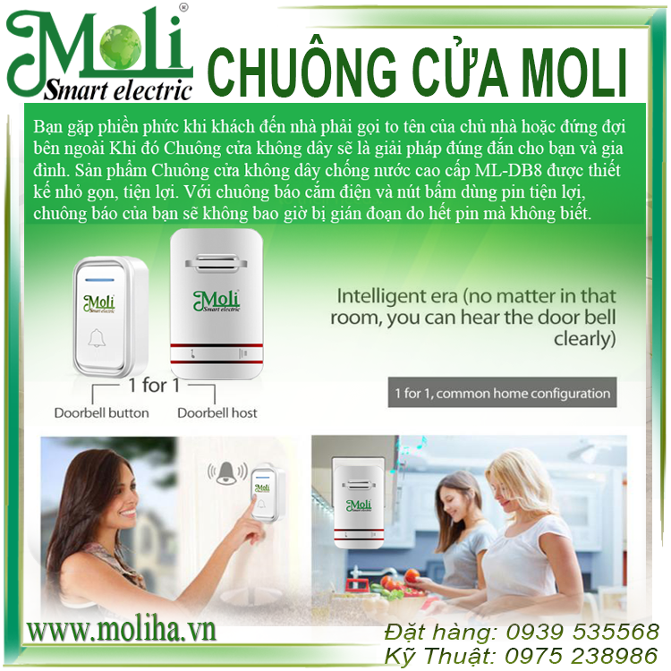 chuong-moli(2).png