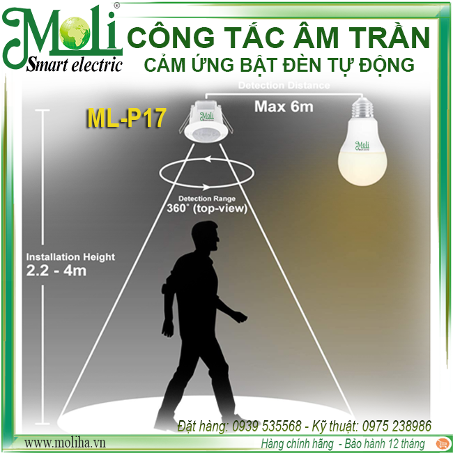 cong-tac-am-tran-moli.png