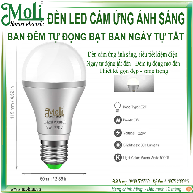 den-cam-ung-anh-sang-moli.png