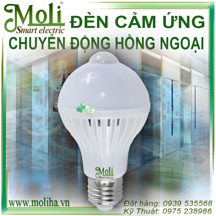 den-cam-ung-hong-ngoai-moli.png