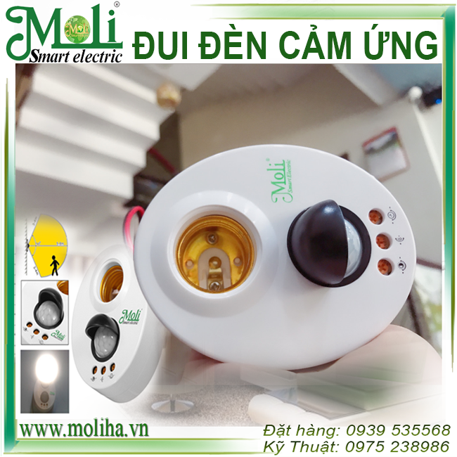 duoi-den-cam-ung-moli-d23.png