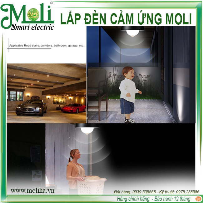 lap-den-moli.png