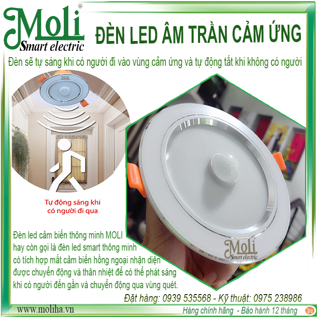 led-cam-ung-moli(2).png