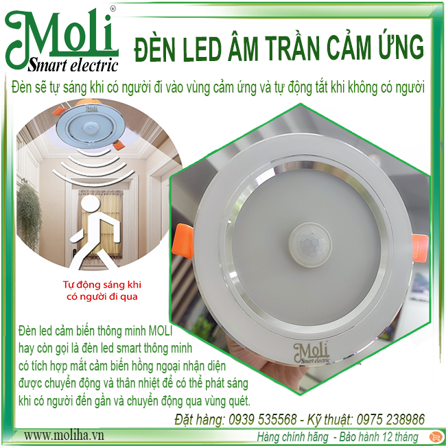 led-cam-ung-moliha(2).png