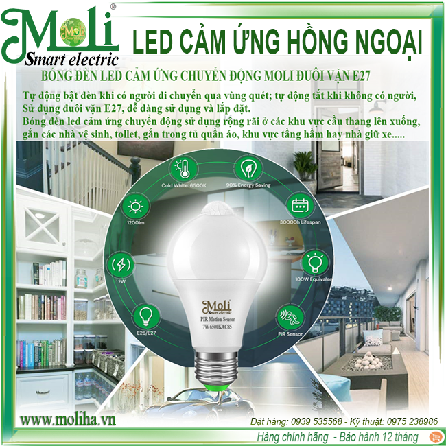 led-hong-ngoai-moli-sieu-sang.png