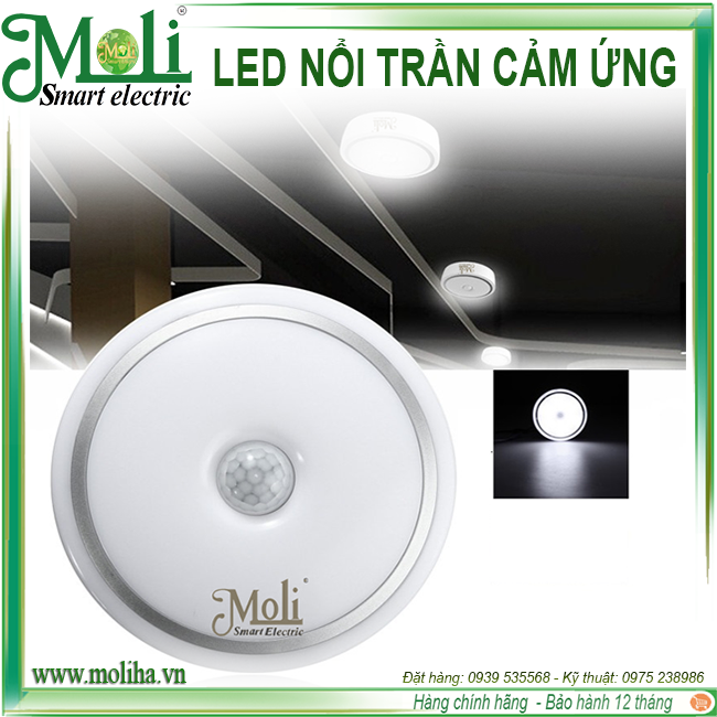 led-noi-tran-cam-ung-moli.png