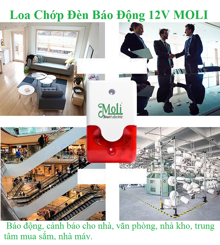 loa-hu-den-chop-bao-dong-moli-1.png