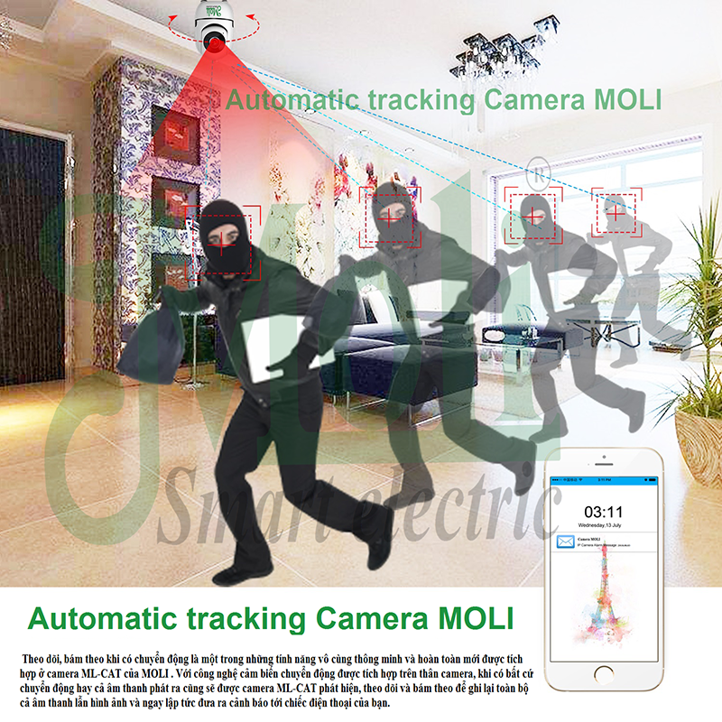 tracking-camera-moli.png