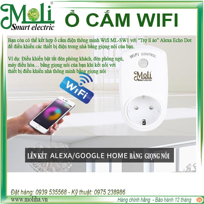 wifi-smart-moli..jpg