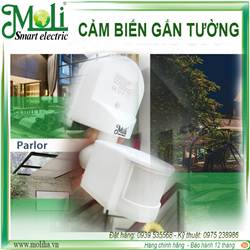 CẢM BIẾN GẮN TƯỜNG ML-P13S