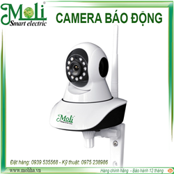 Camera Smart Wifi MoLi