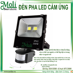 ĐÈN PHA LED CẢM ỨNG MOLI